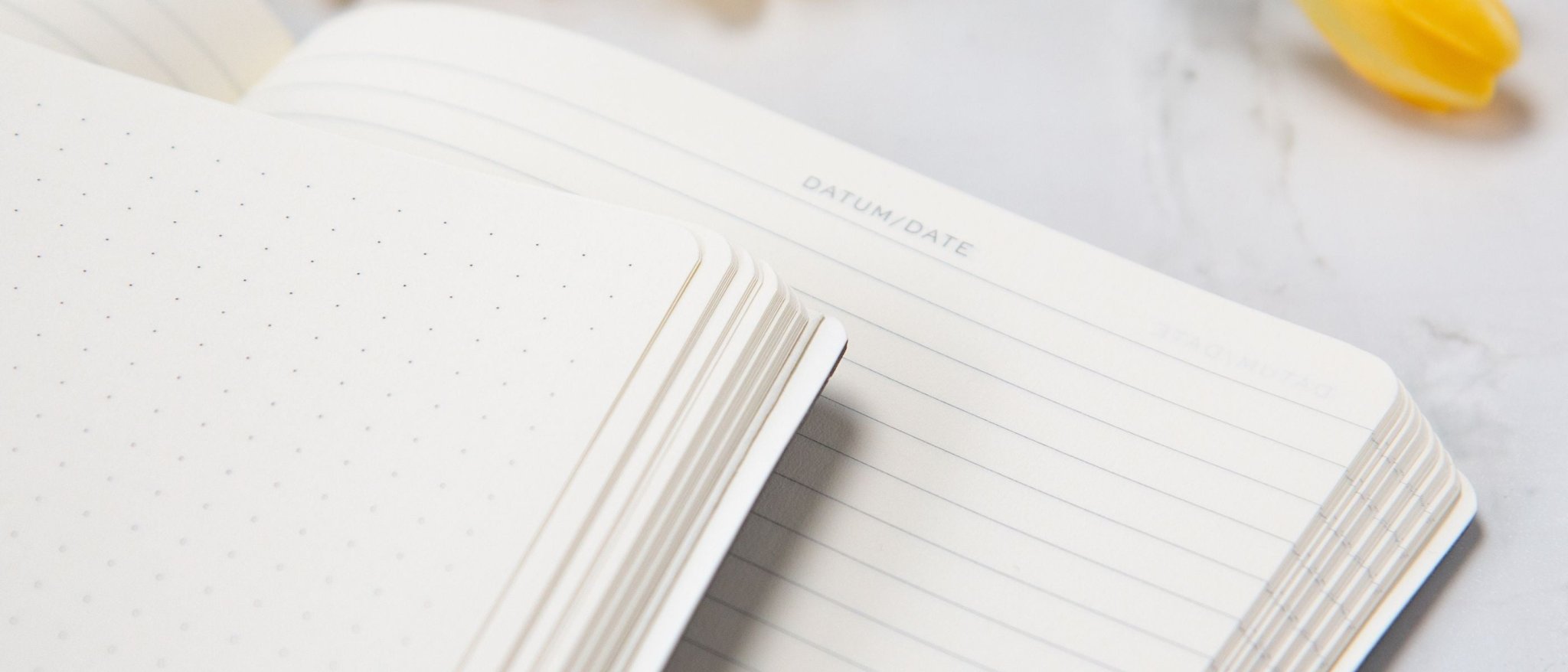 The Best Notebooks To Use For Bullet Journals
