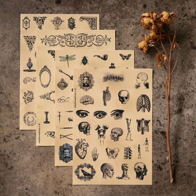 Poe's Raven Sticker Sheets-Stickers-Under the Rowan Trees-Anatomy
