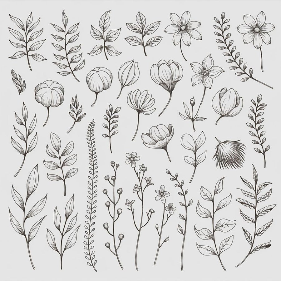 Botanical Line Drawing for Beginners - Under the Rowan Trees