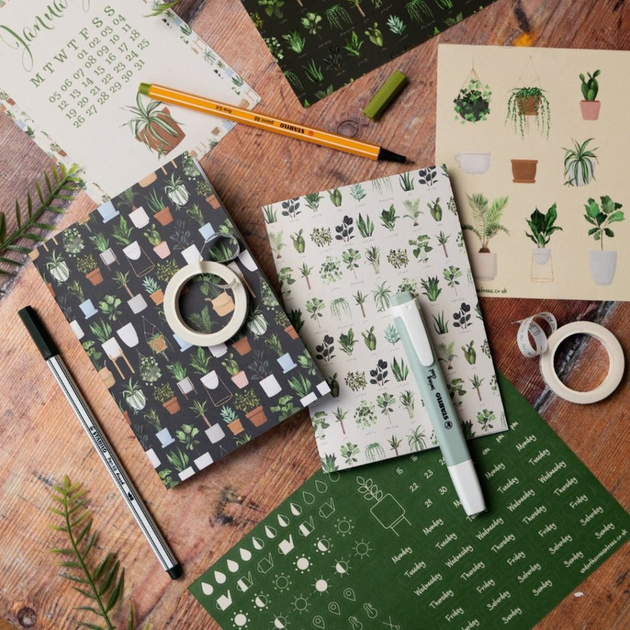 Inside the Rowan Berry Box: Plant Lover