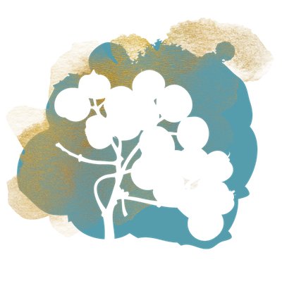 Items From Previous Rowan Berry Boxes-Under the Rowan Trees