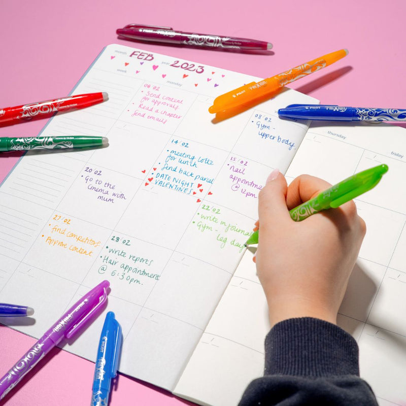 Pilot Frixion Erasable Pens-Under the Rowan Trees