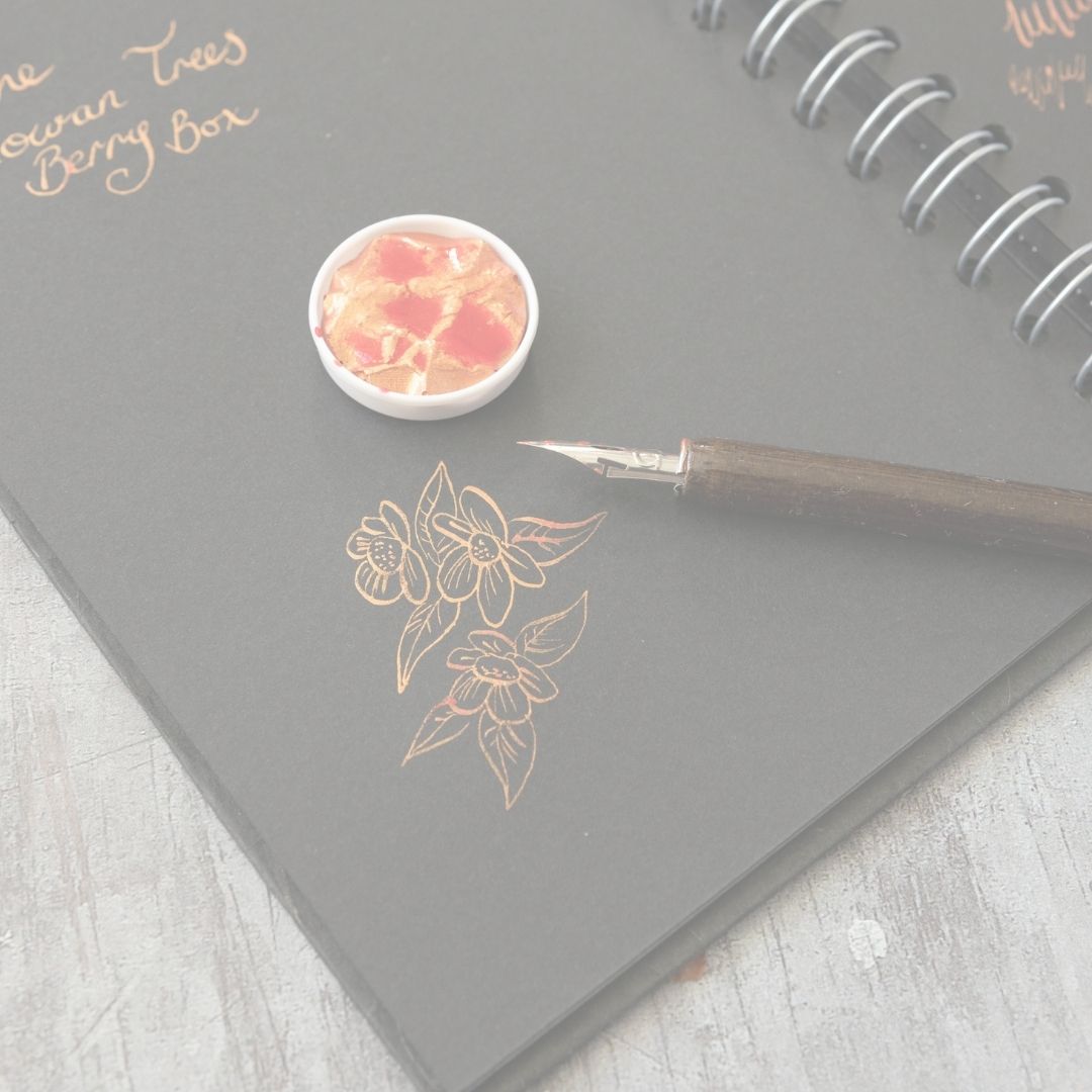 Back Paper Sketchbook with Coliro Paint and a Dip Pen