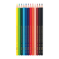 Colour Pencils Set of 12 - Under the Rowan Trees