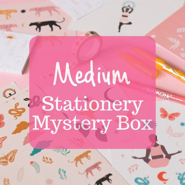 Medium Stationery Mystery Box
