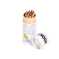 Moomin Tammi Pencil Pot with 12 Colouring Pencils
