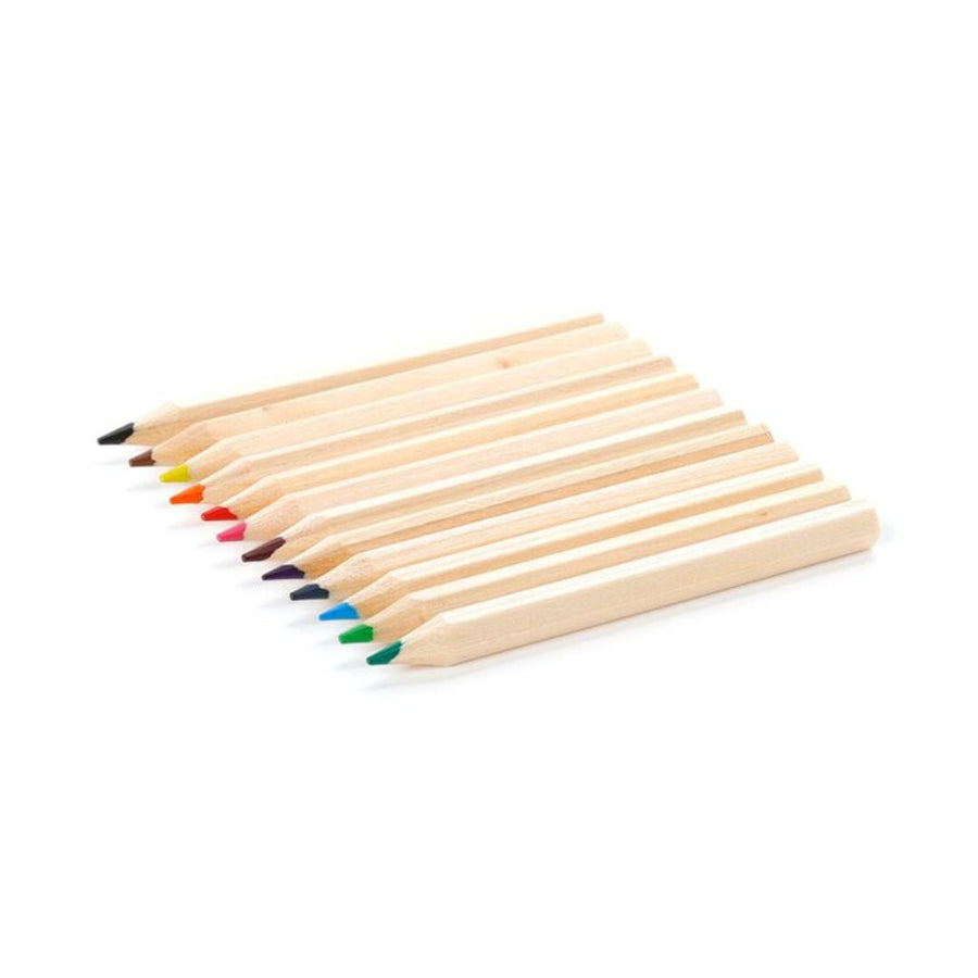 Set of colored pencils on a white background