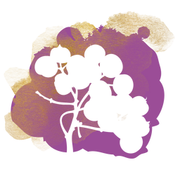 Rowan Berry Box Icon