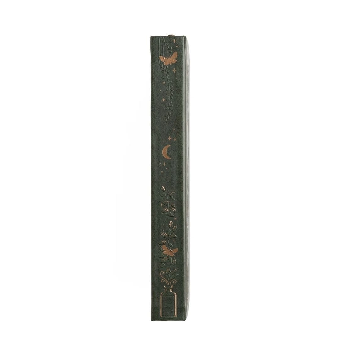Apothecary Shelf Dot Grid Journal - B6 - Archer & Olive