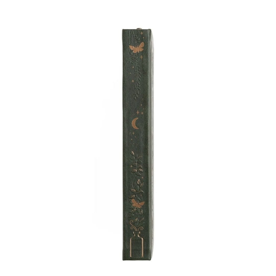 Apothecary Shelf Dot Grid Journal - B6 - Archer & Olive