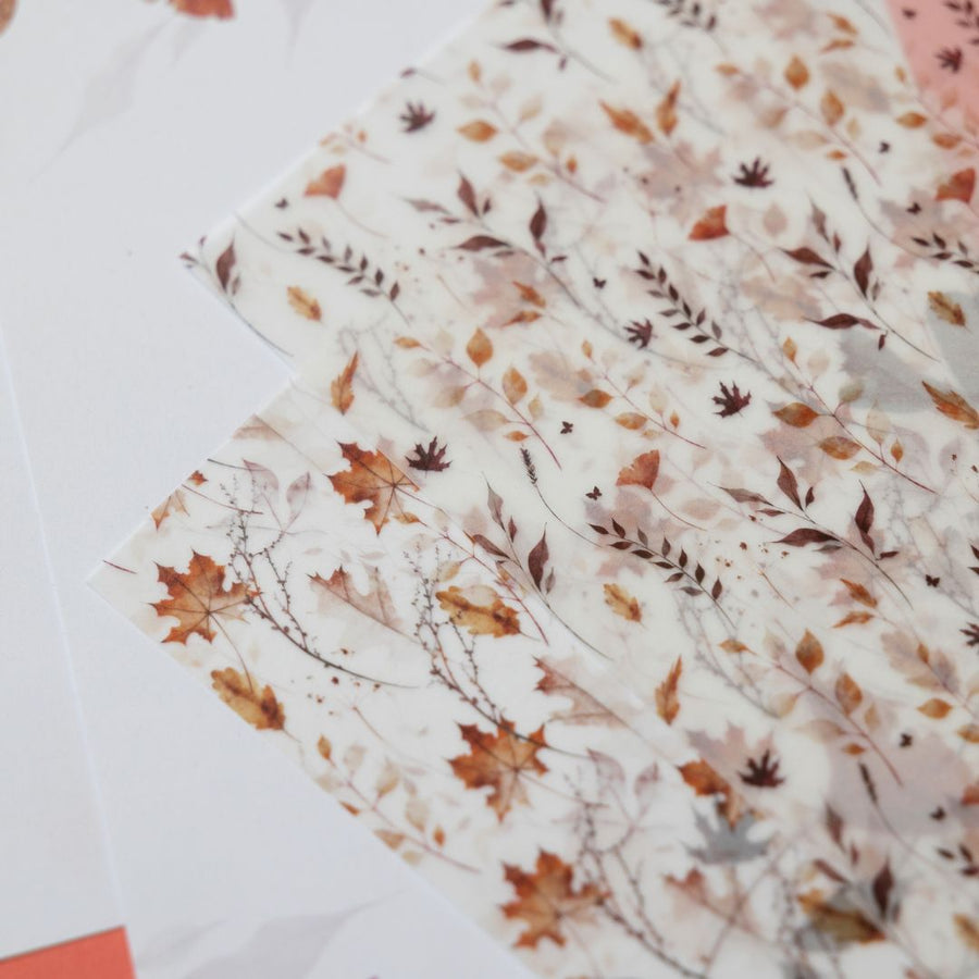 Autumn Leaves Stationery Rowan Berry Box - Under the Rowan Trees