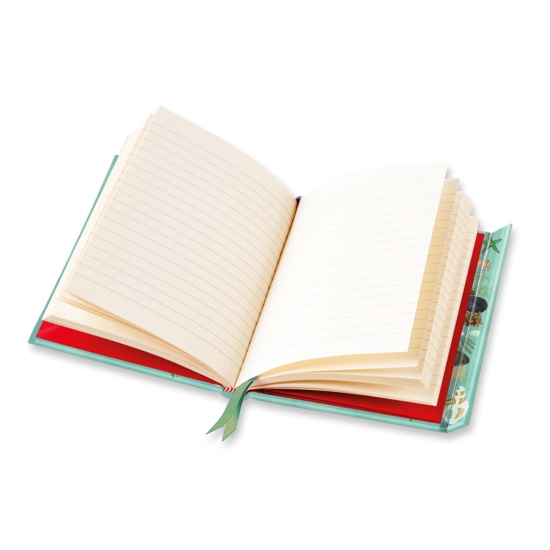 Beachcombing A5 Lined Journal - Katherine Quinn - Flame Tree