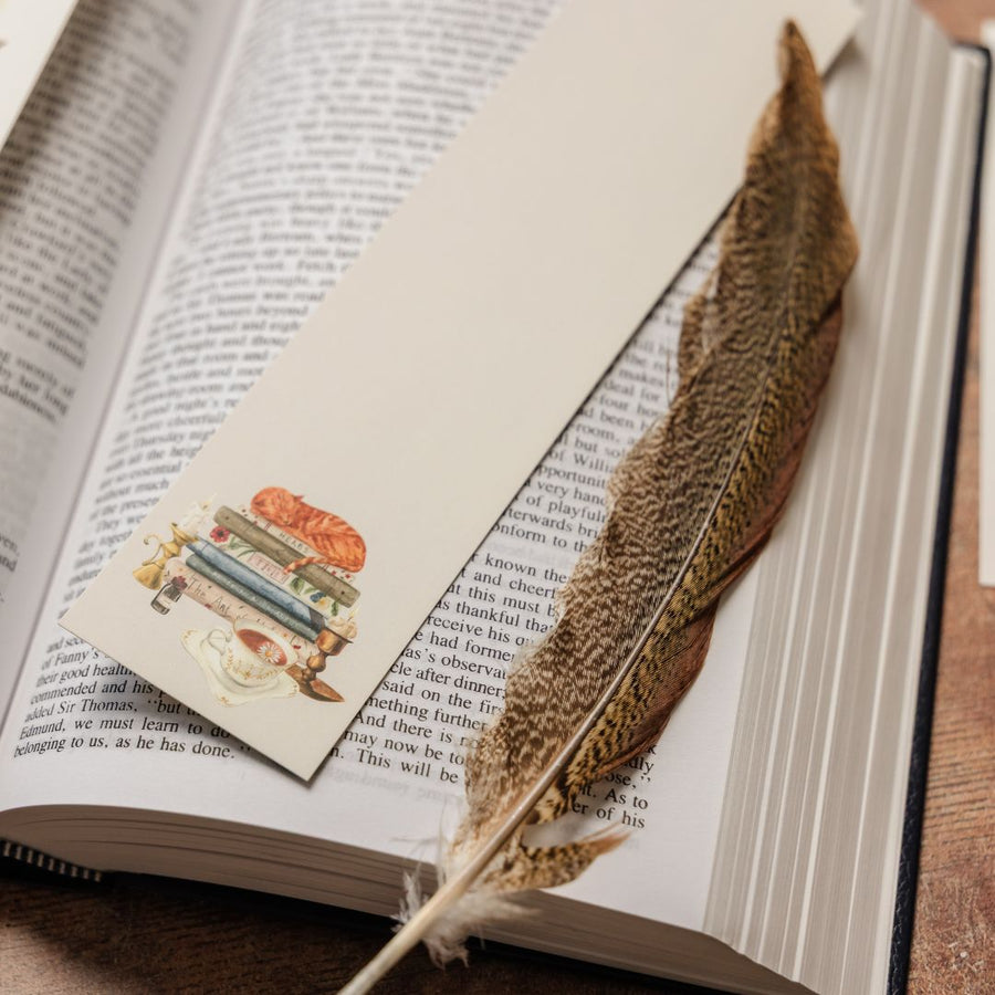 Cosy Bookshop Stationery Rowan Berry Box - Under the Rowan Trees