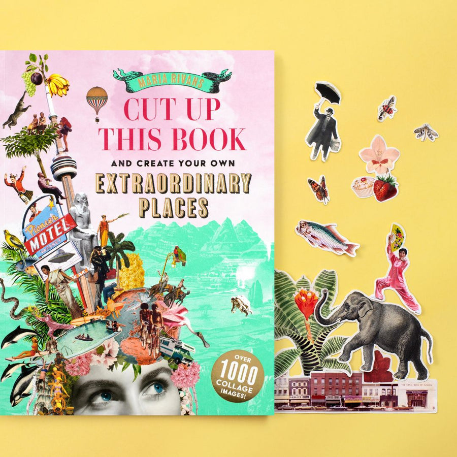 Cut up This Book and Make Your Own Extraordinary Places - Skittledog