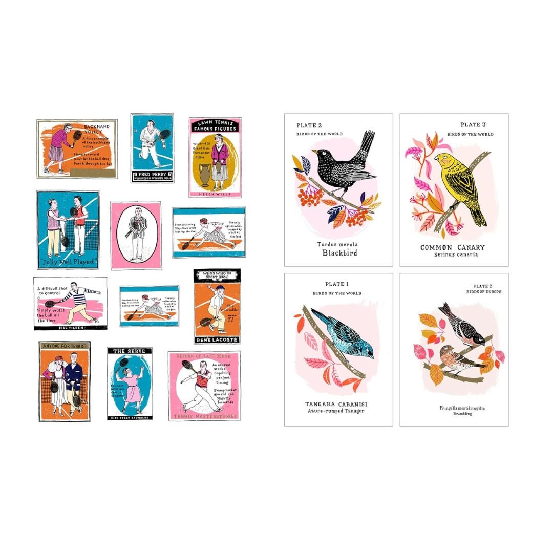 Grumpy Cats And Other Stuff - A Little Sticker Book - Charlotte Farmer - Skittledog