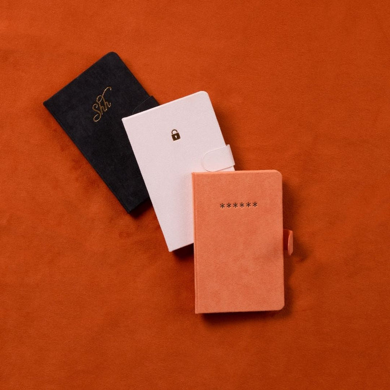 Mini Password Journal - Shh-Notebooks-Designworks Collective-