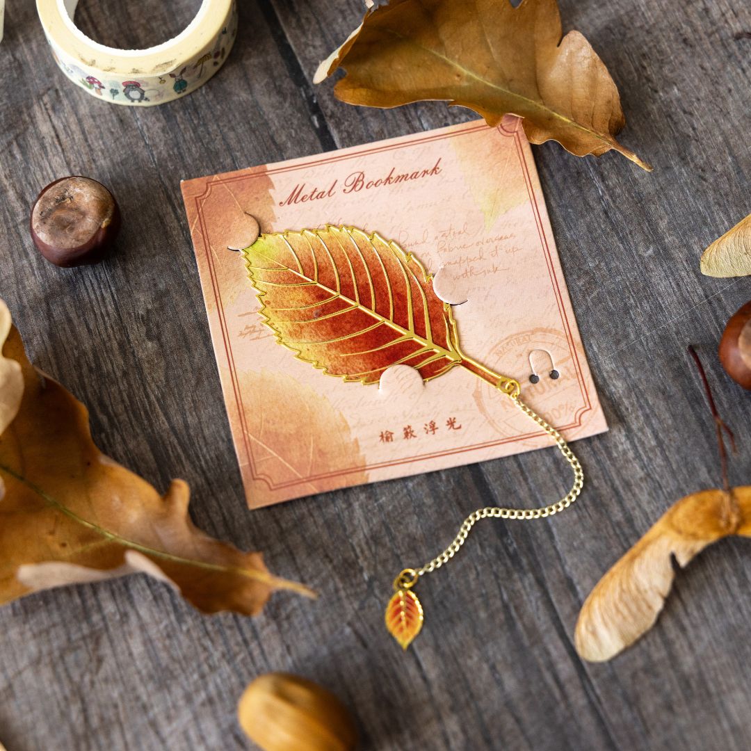Oh Autumn! Stationery Rowan Berry Box - Under the Rowan Trees