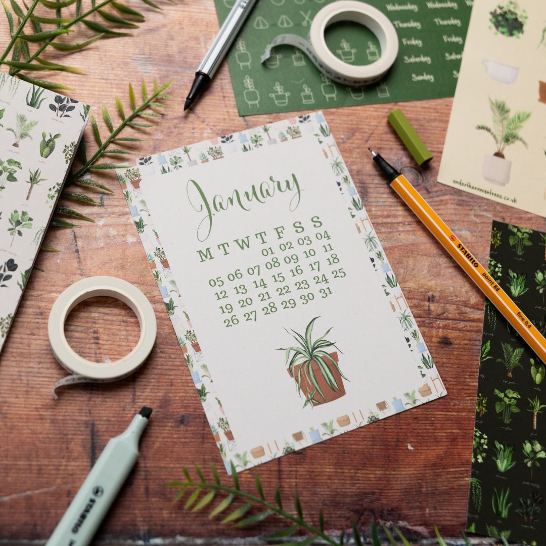 Plant Lover Stationery Rowan Berry Box - Under the Rowan Trees