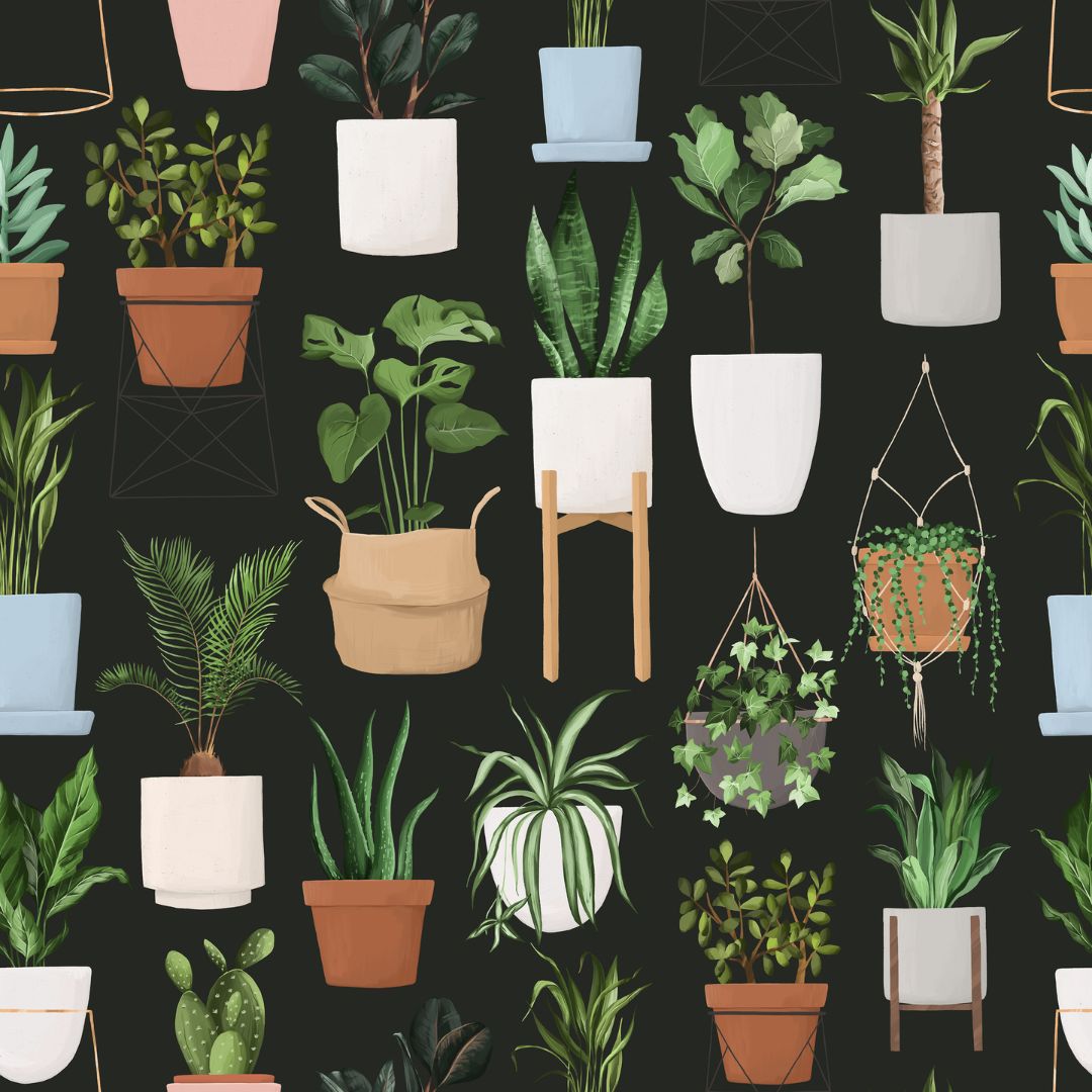 Pattern of various potted plants on a black background