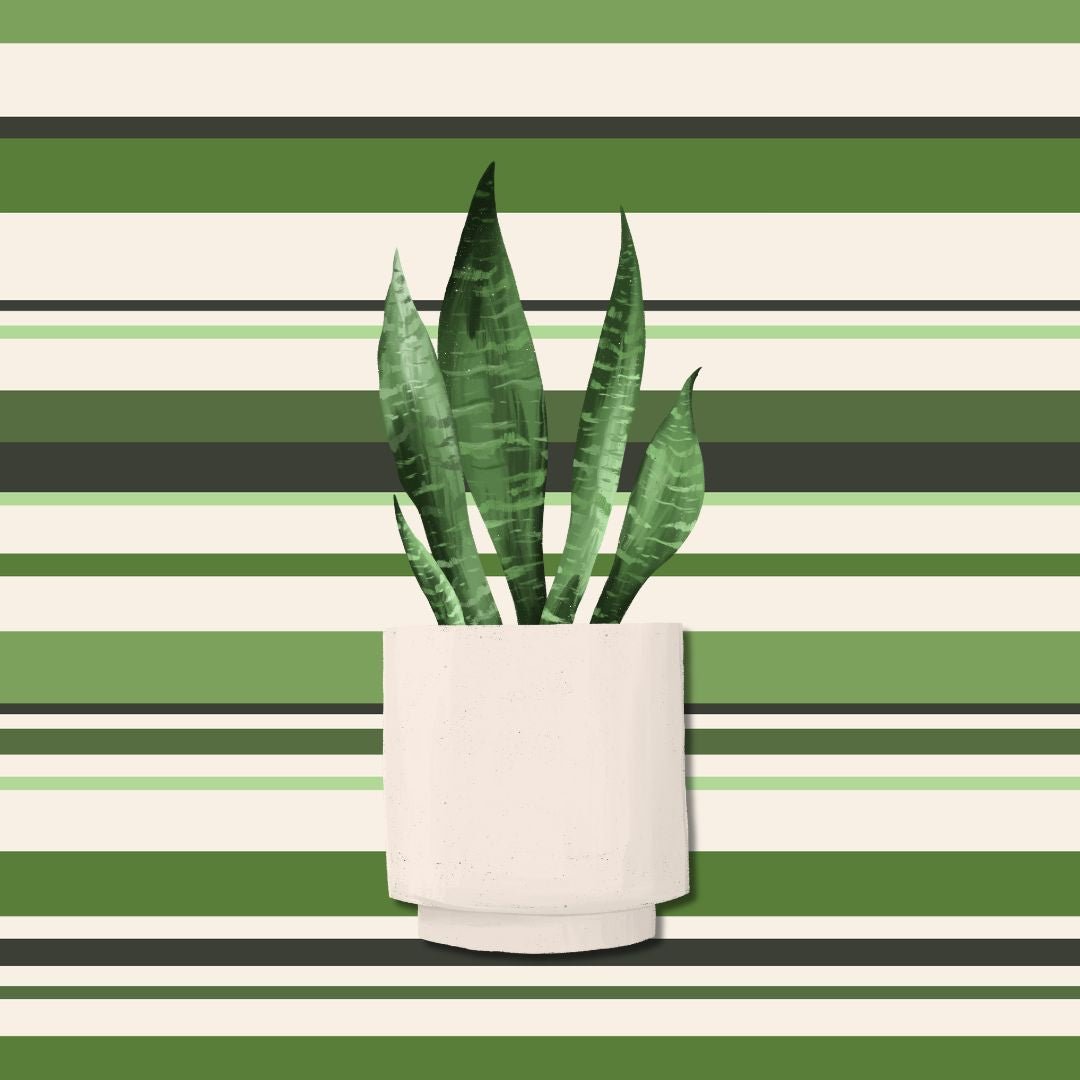Potted plant on a background with green and white horizontal stripes