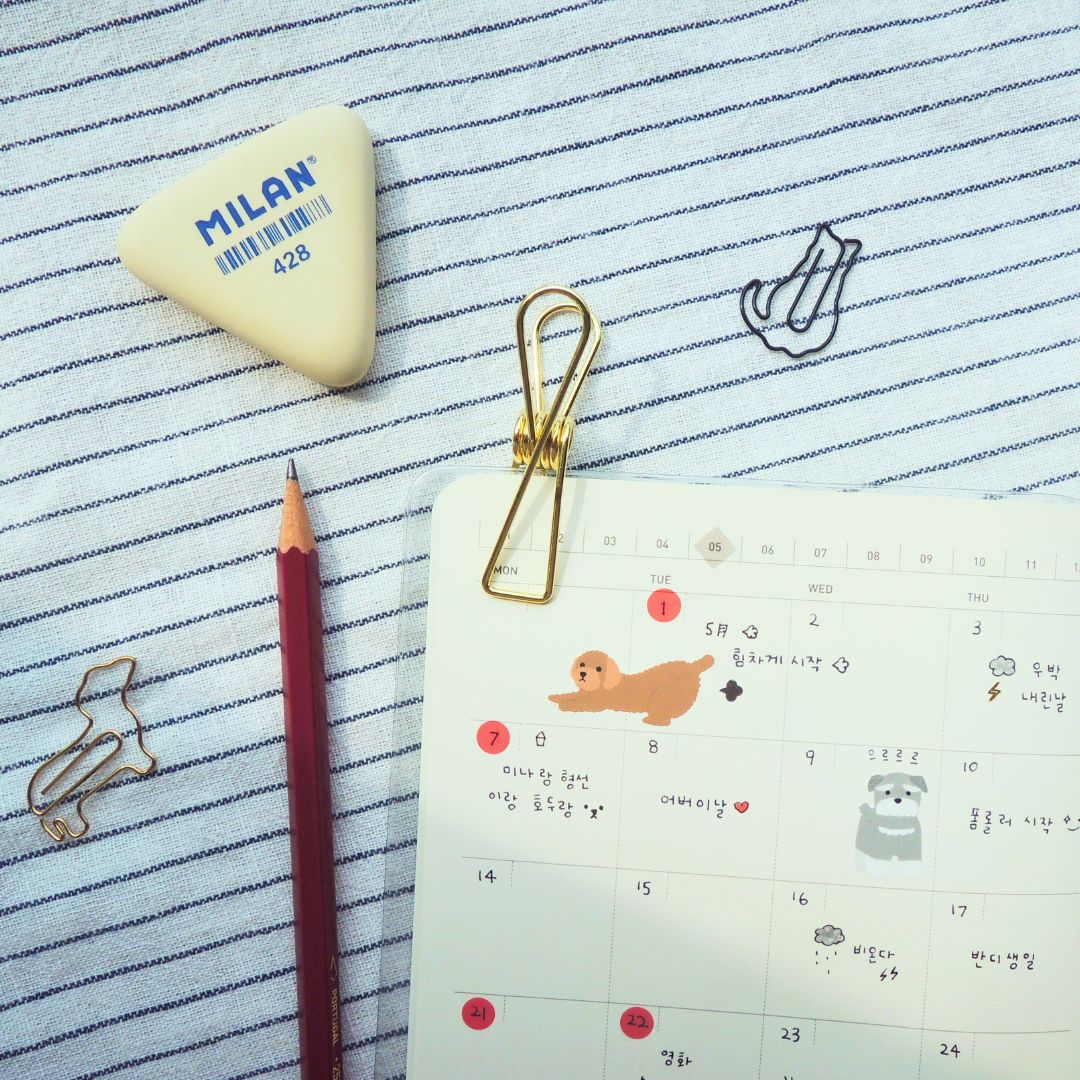 Suatelier Stickers Daily Deco 1073 Arrr - Suatelier